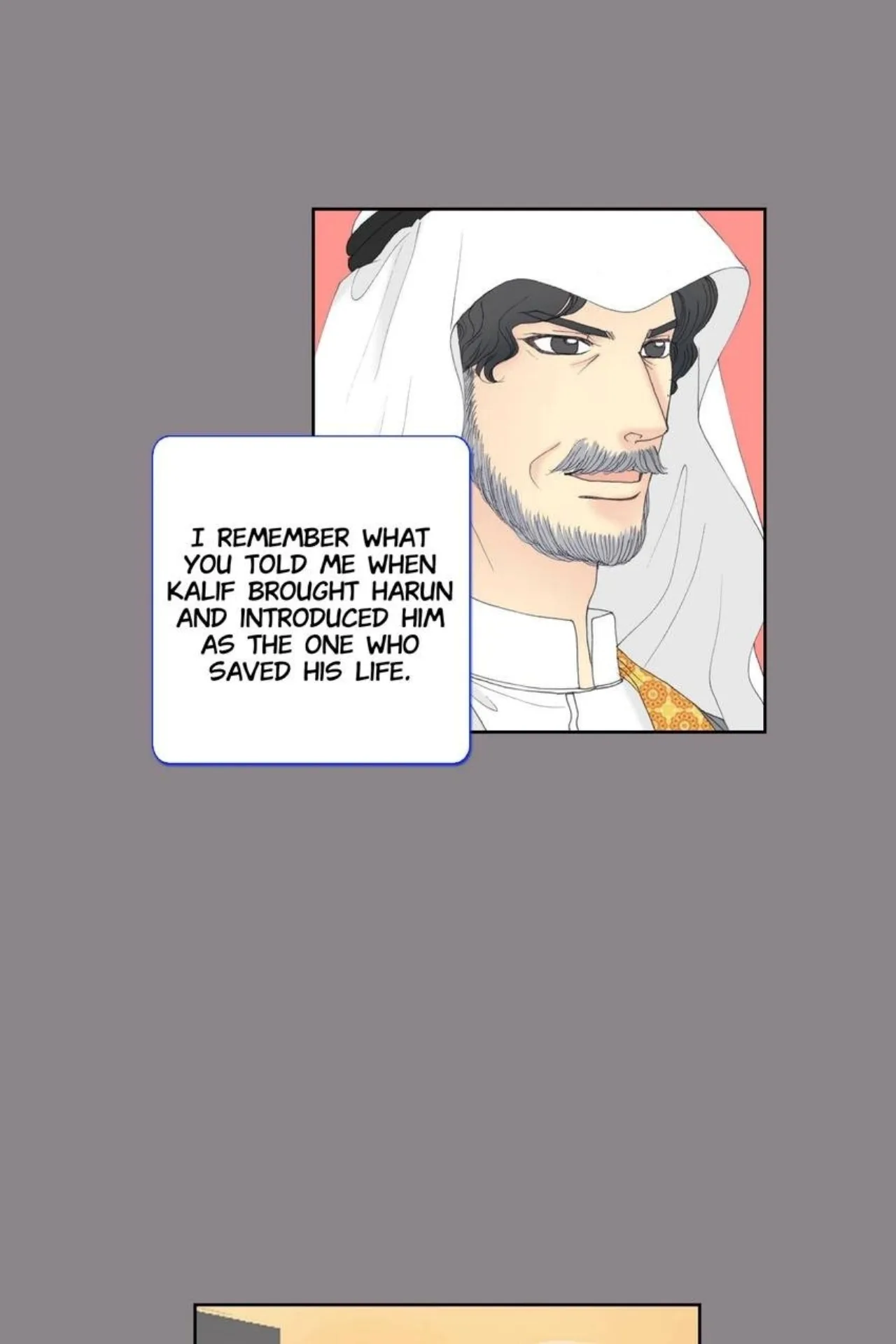 Image page 13