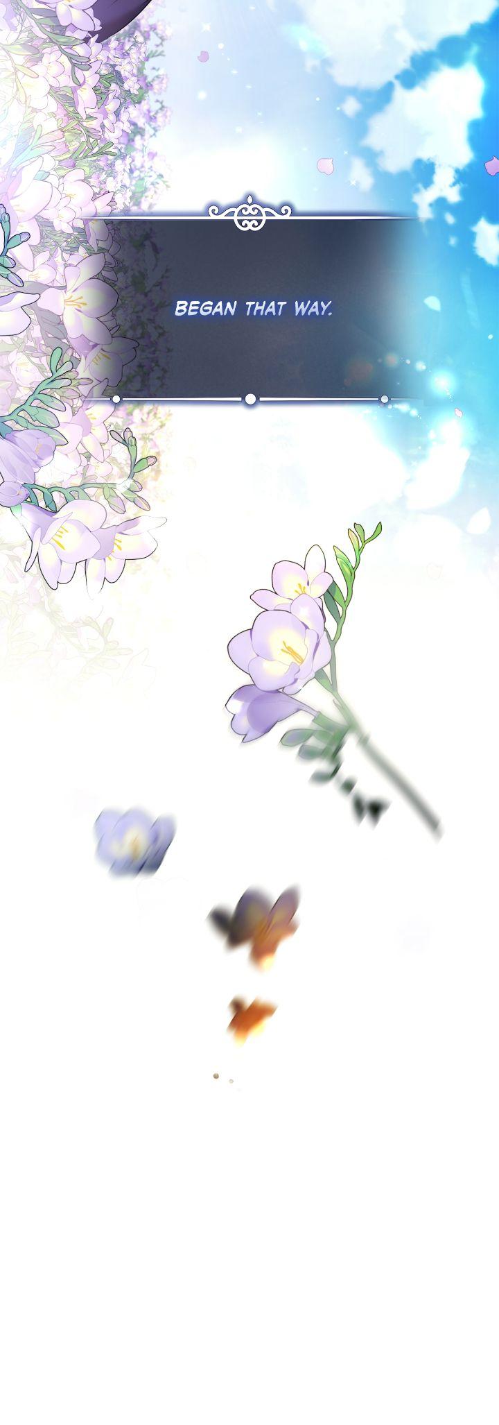 Image page 11