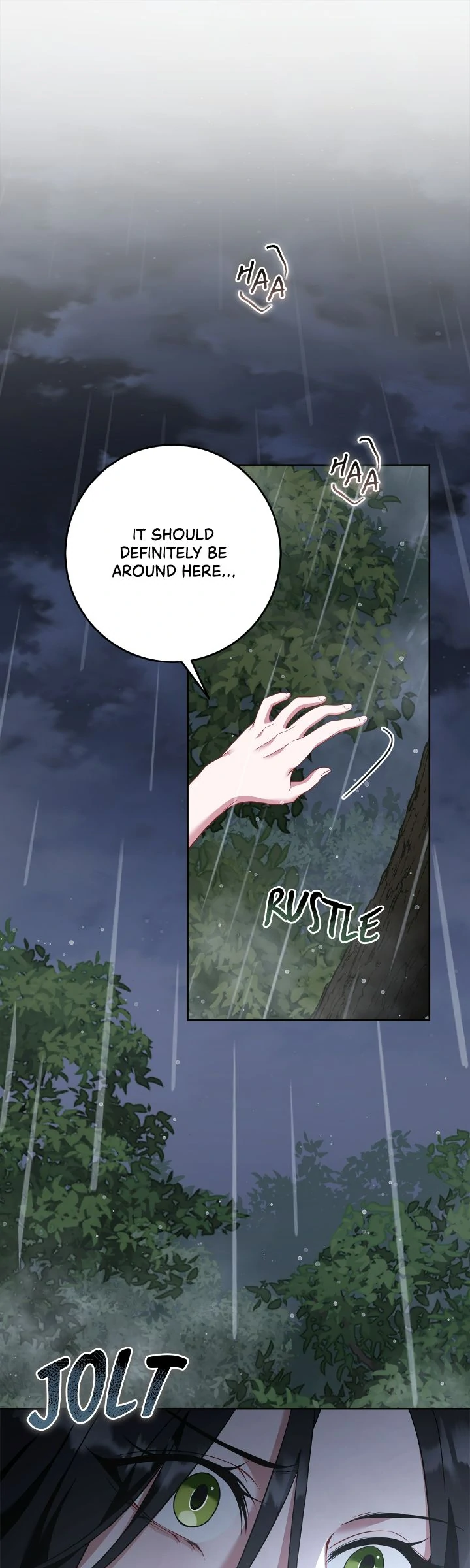 Image page 11