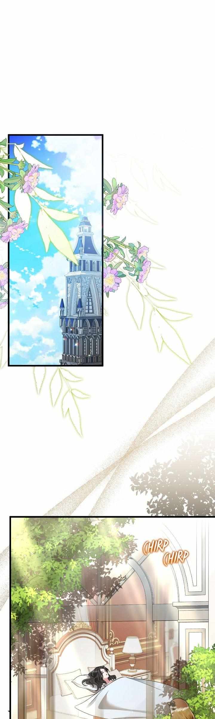 Image page 2