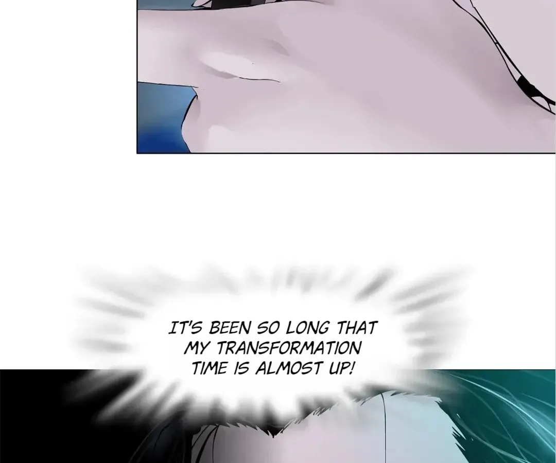 Image page 48