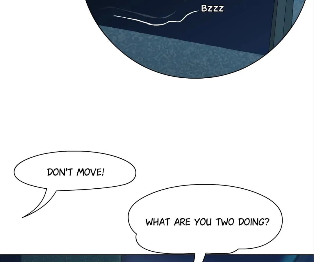 Image page 11