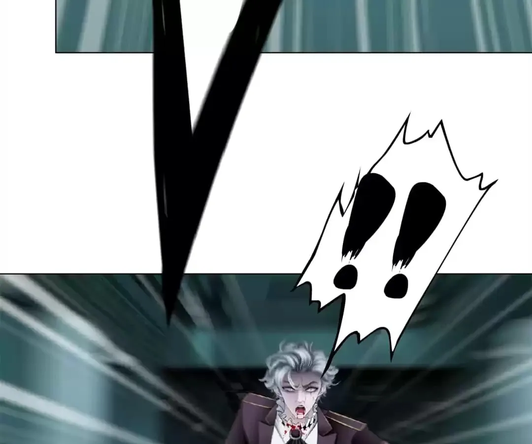 Image page 41