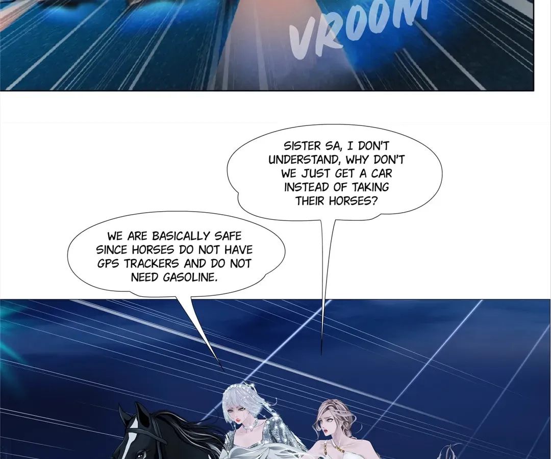 Image page 8