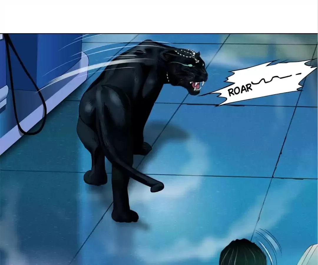 Image page 25