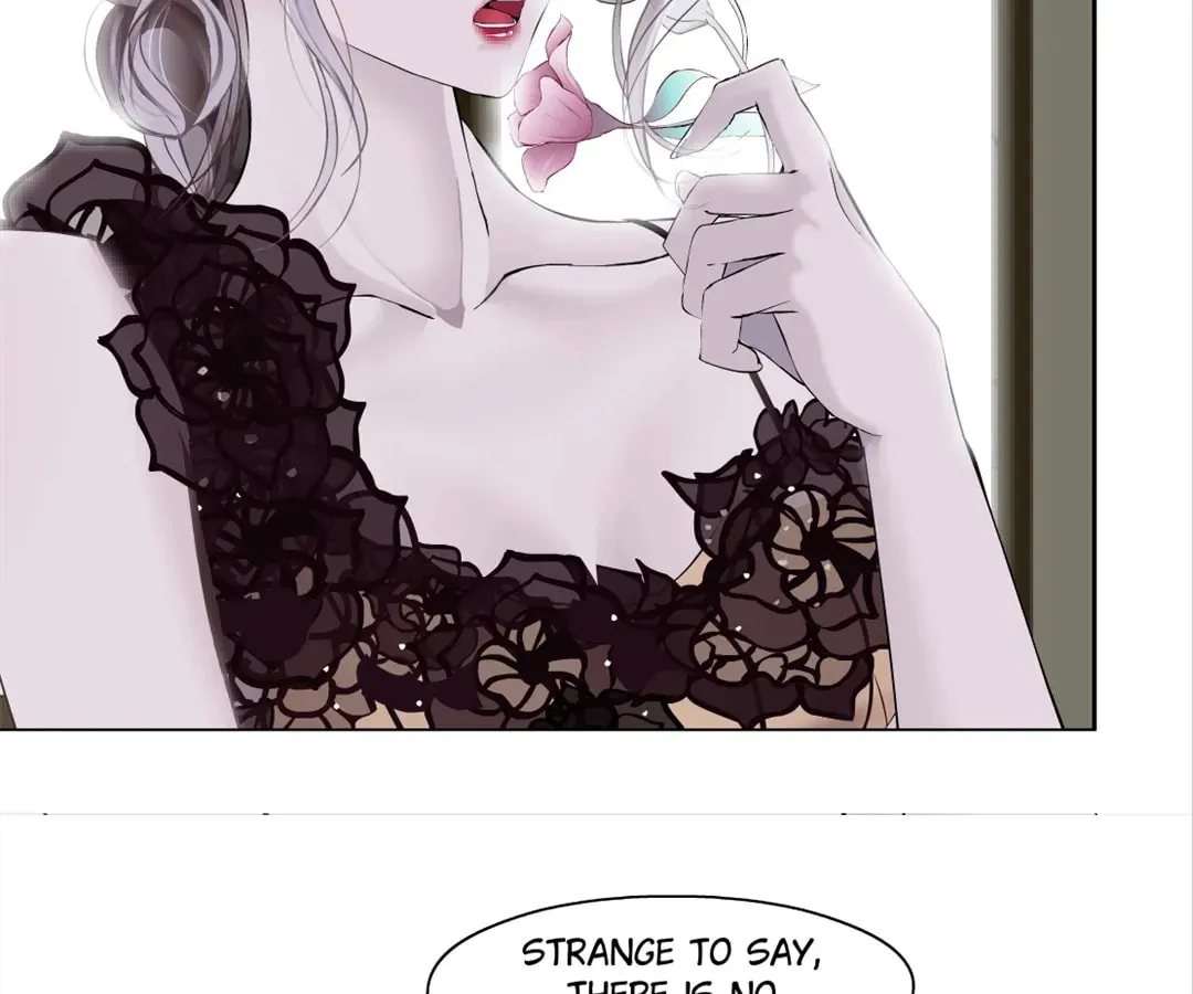 Image page 8