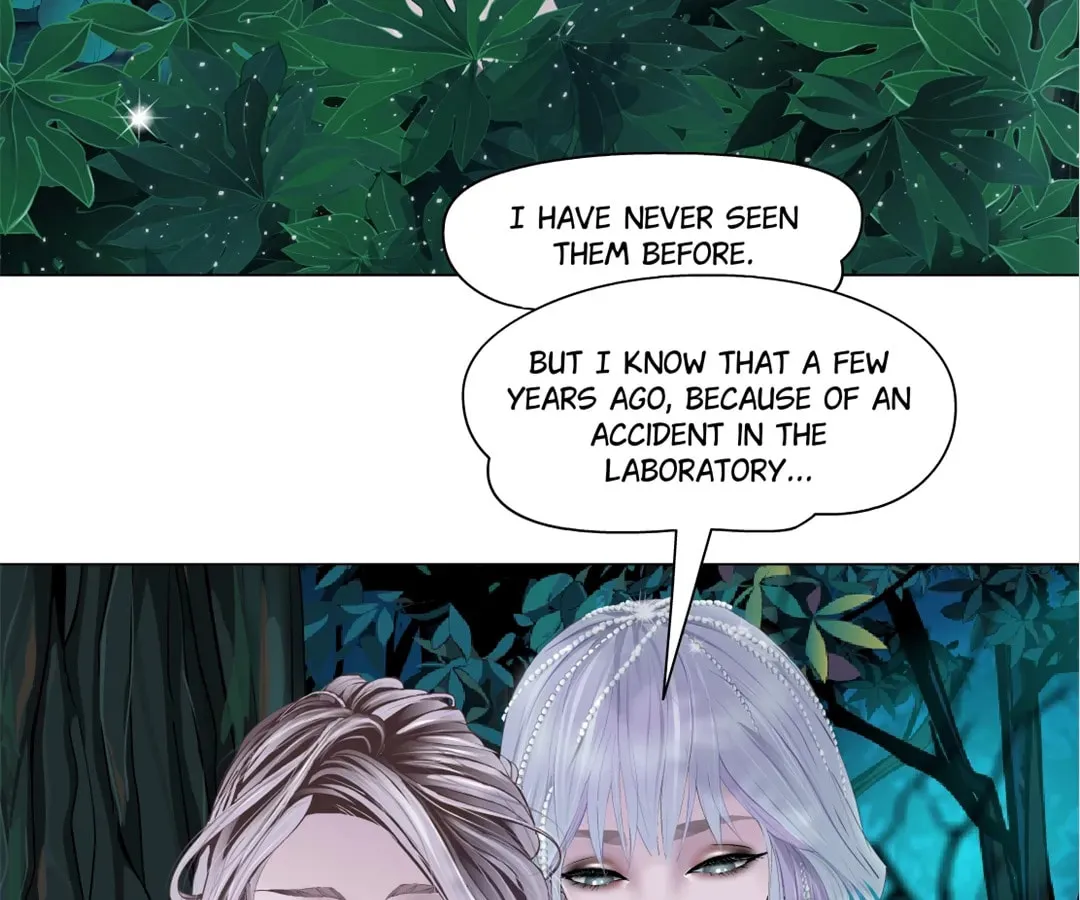 Image page 3