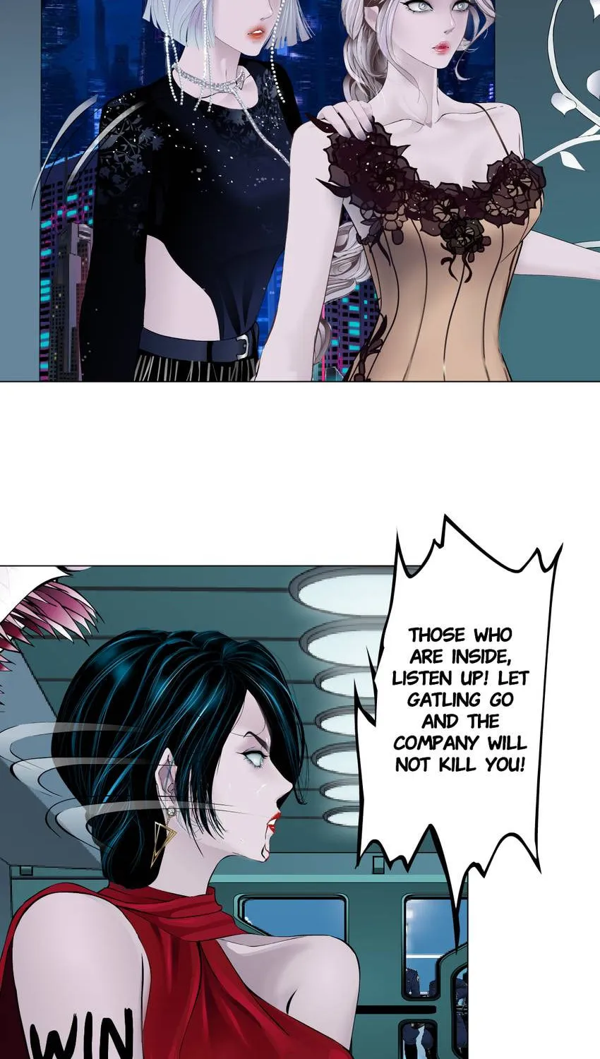 Image page 11