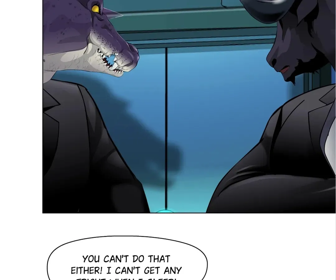 Image page 8