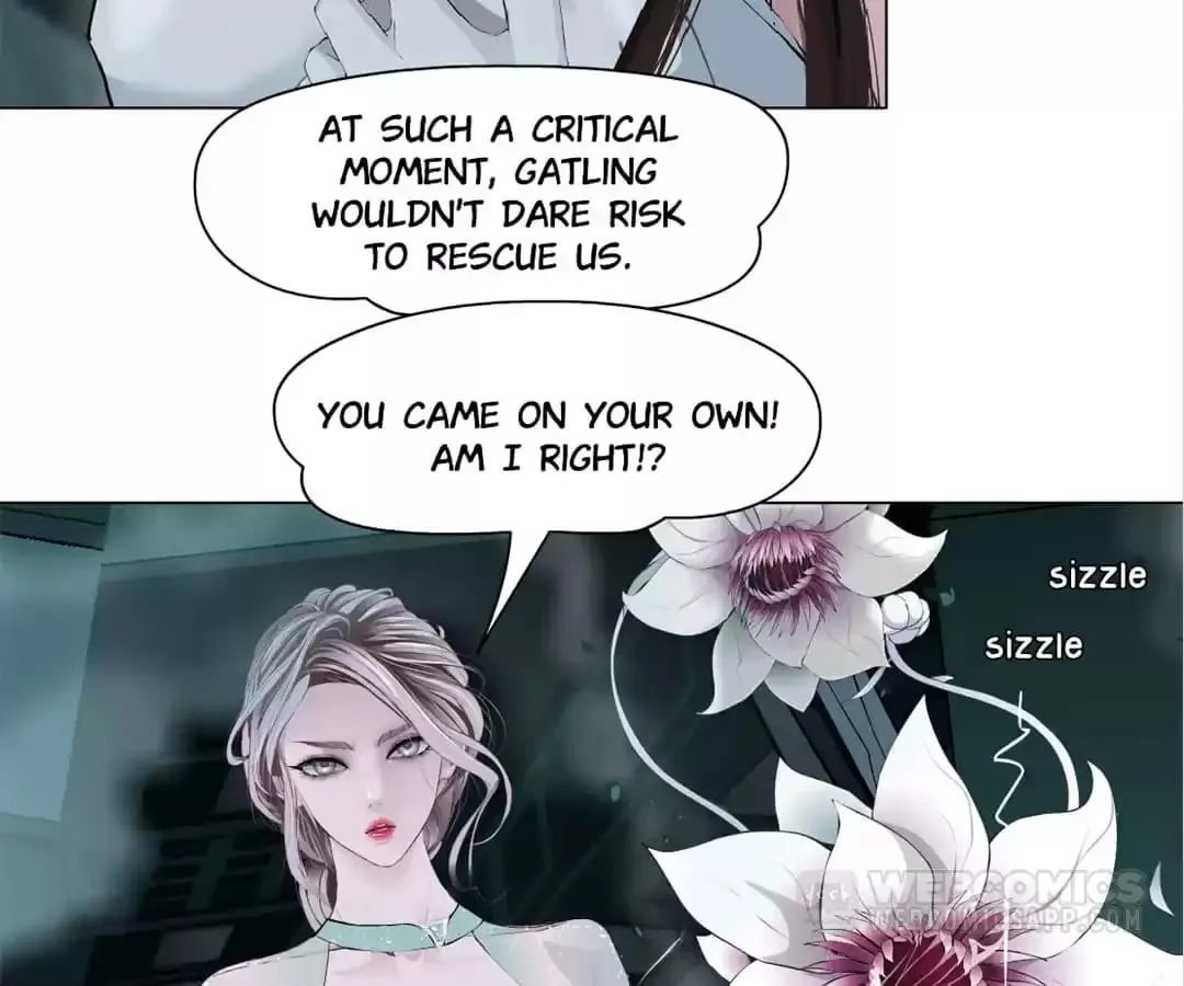 Image page 11