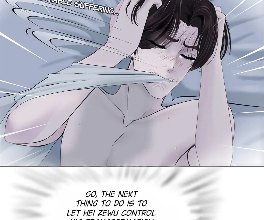 Image page 11