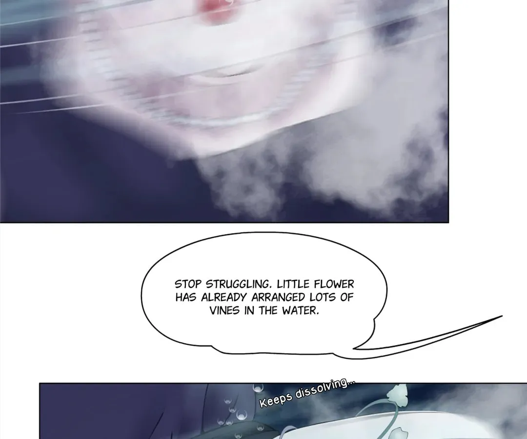 Image page 13