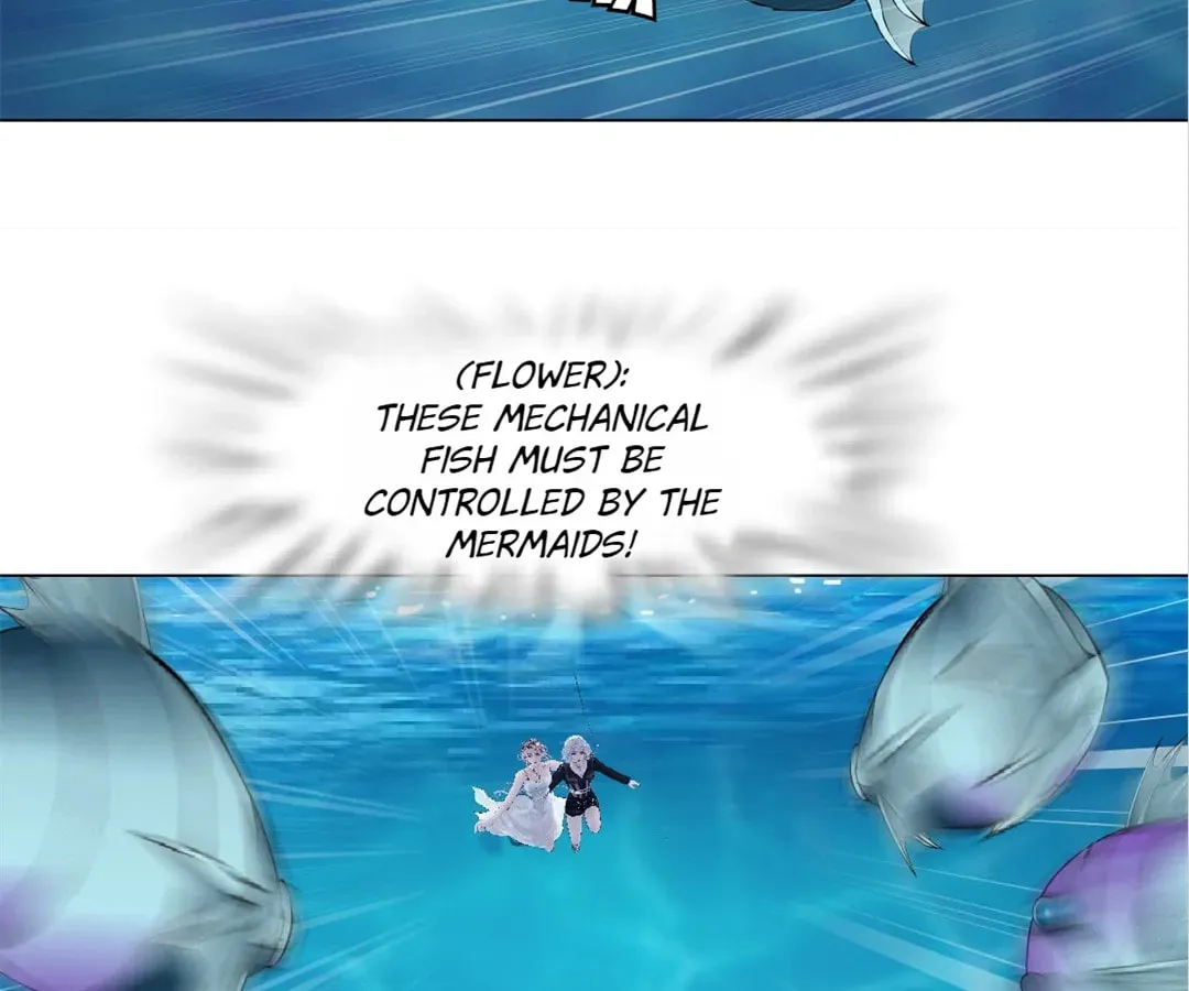 Image page 13