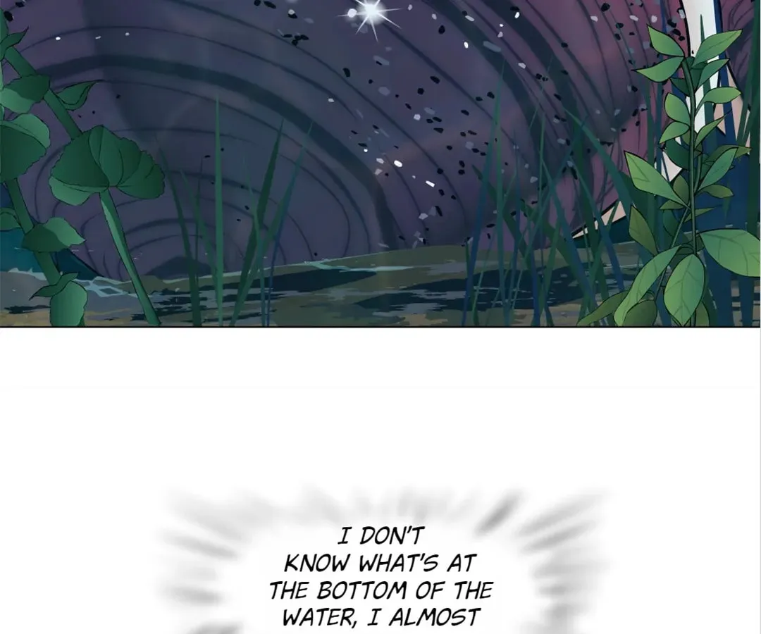 Image page 5
