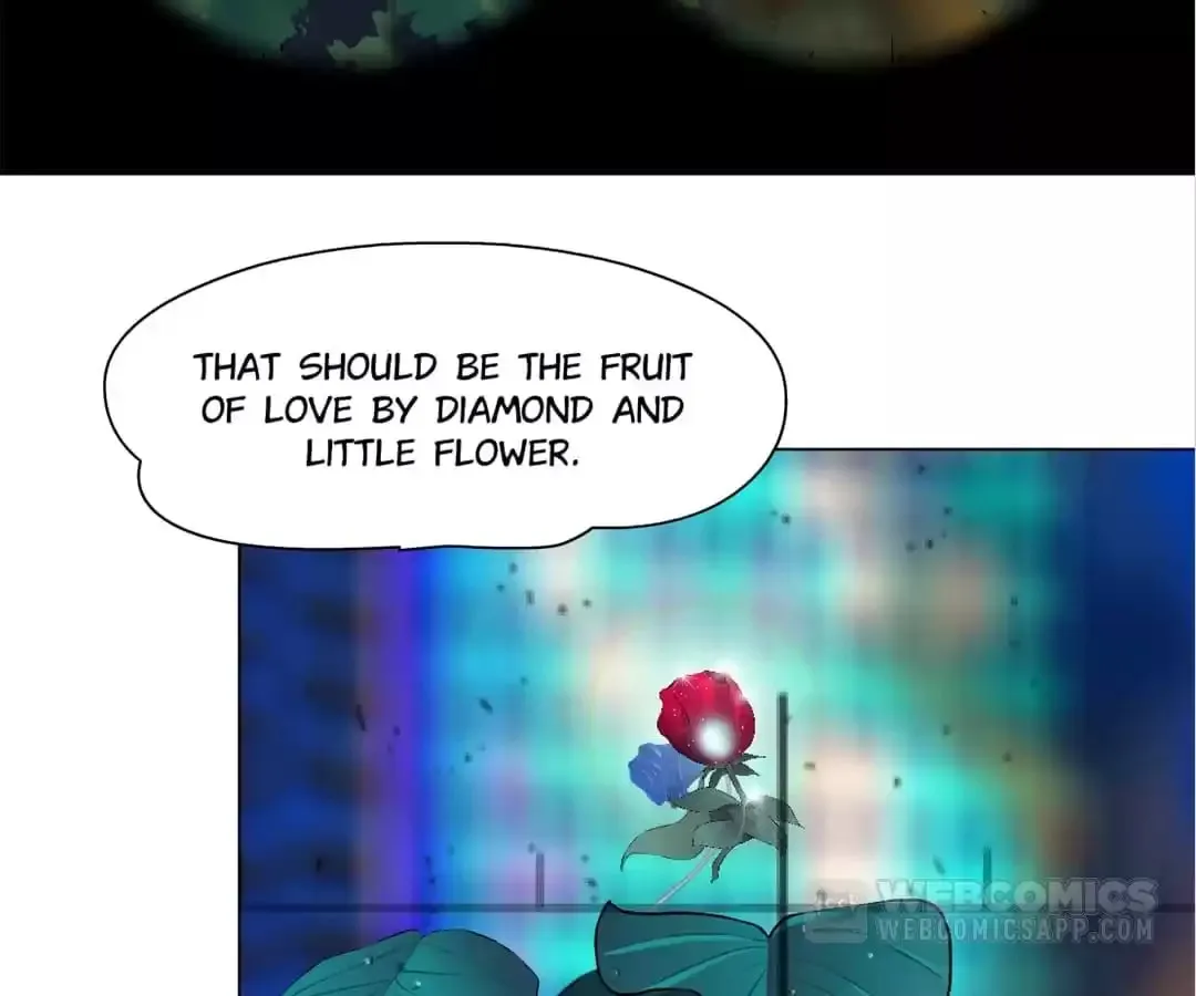 Image page 31