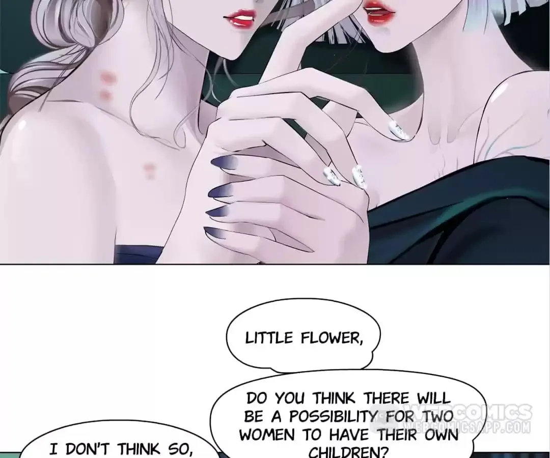 Image page 16