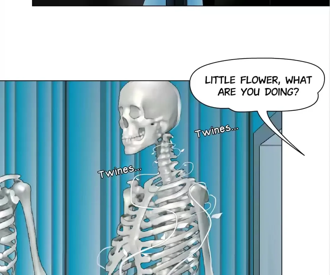 Image page 8