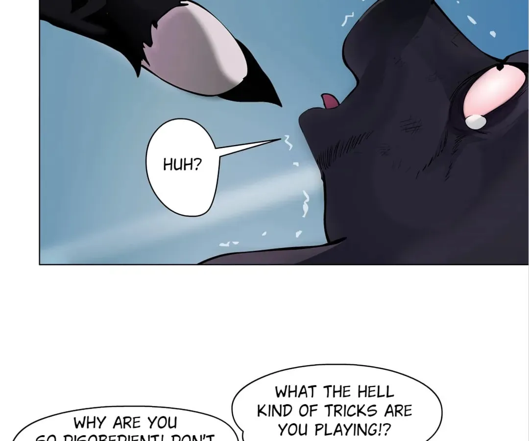 Image page 17