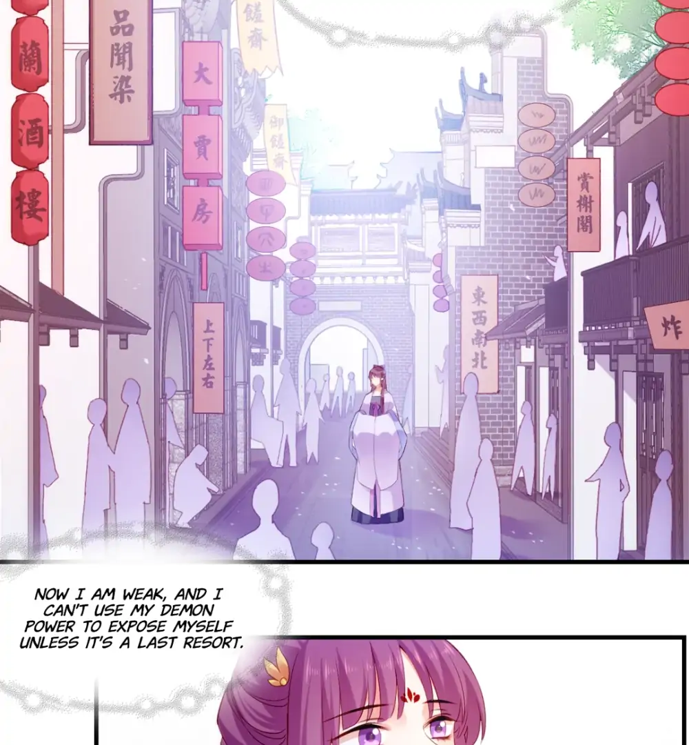 Image page 7