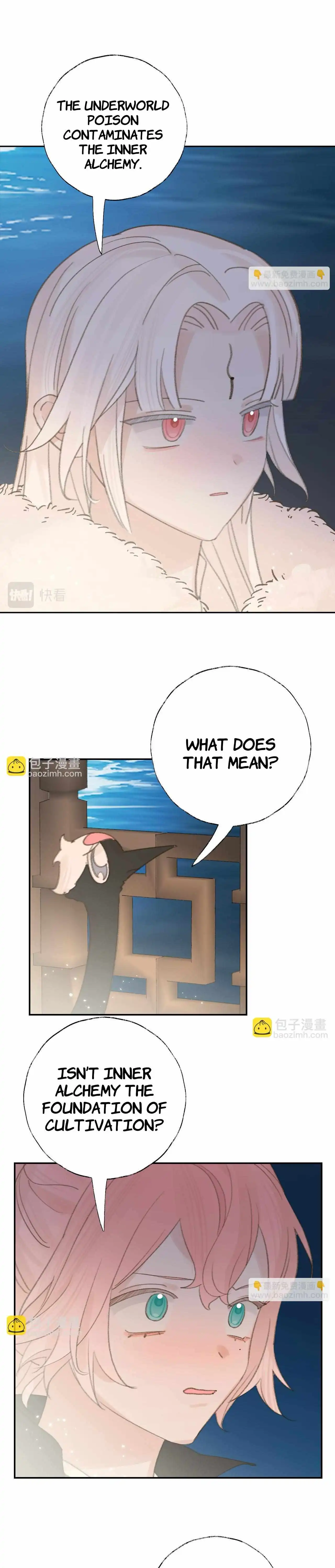 Image page 5