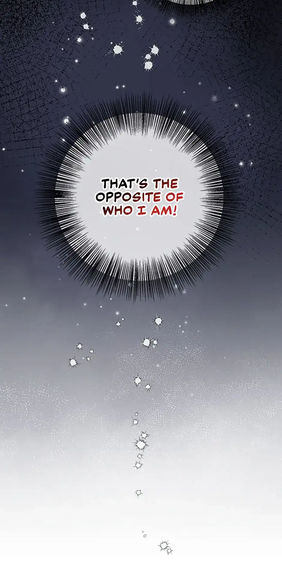 Image page 16