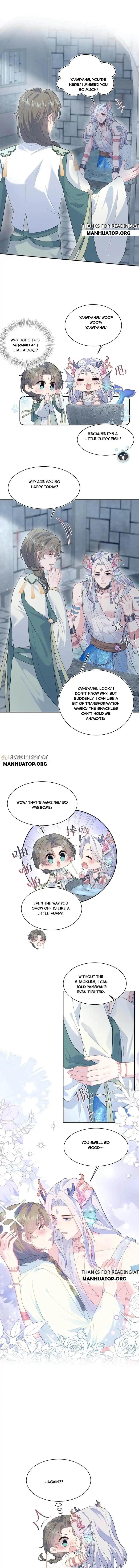 Image page 5