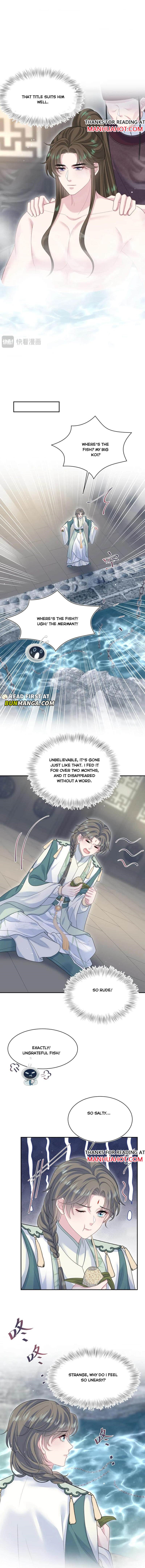 Image page 5