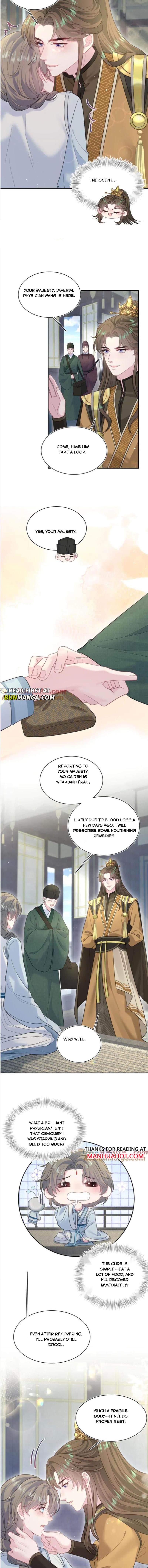 Image page 3