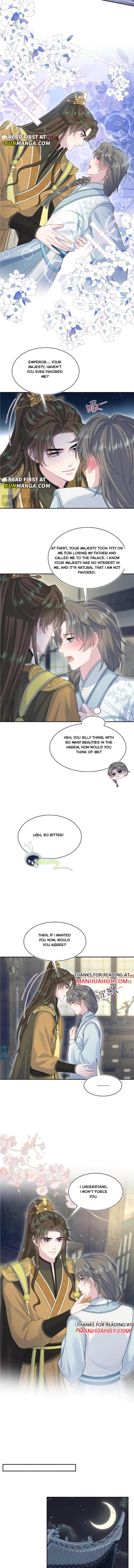 Image page 2