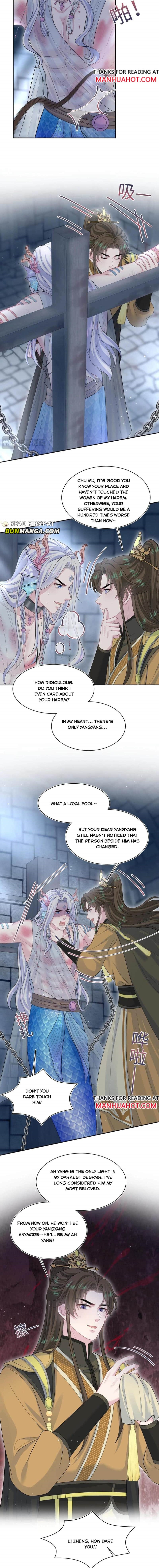 Image page 5
