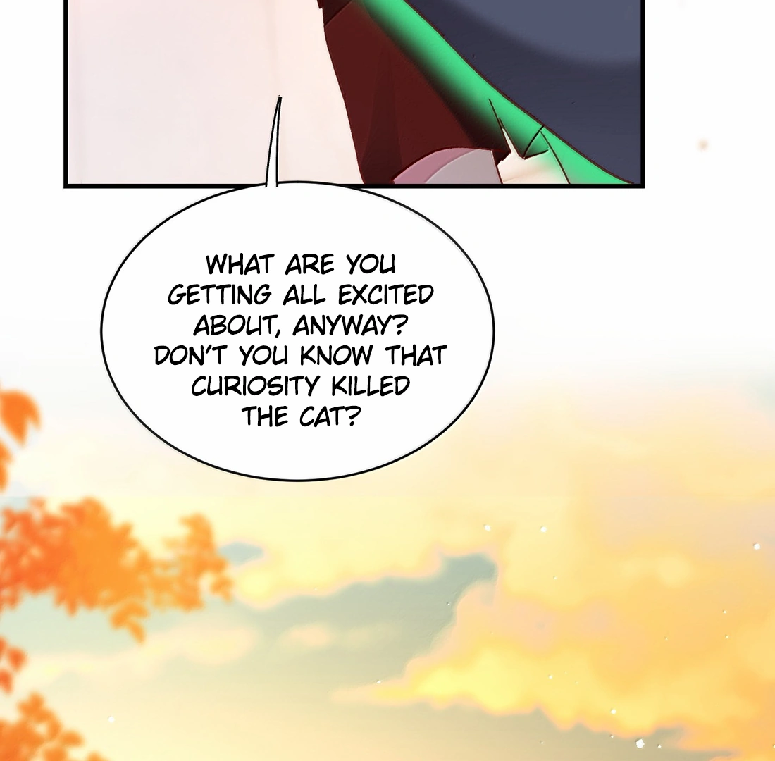 Image page 17