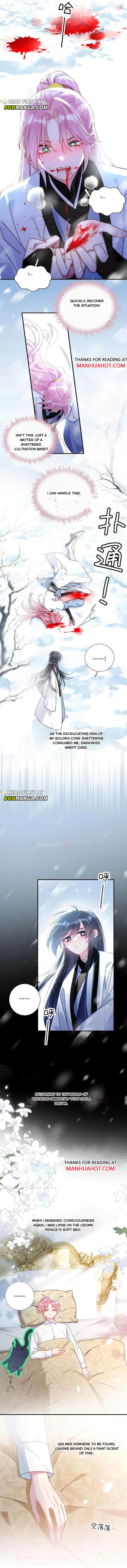 Image page 2