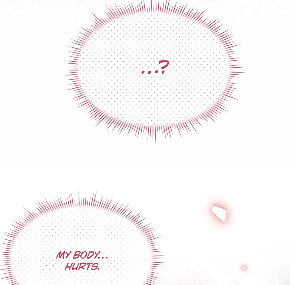 Image page 16
