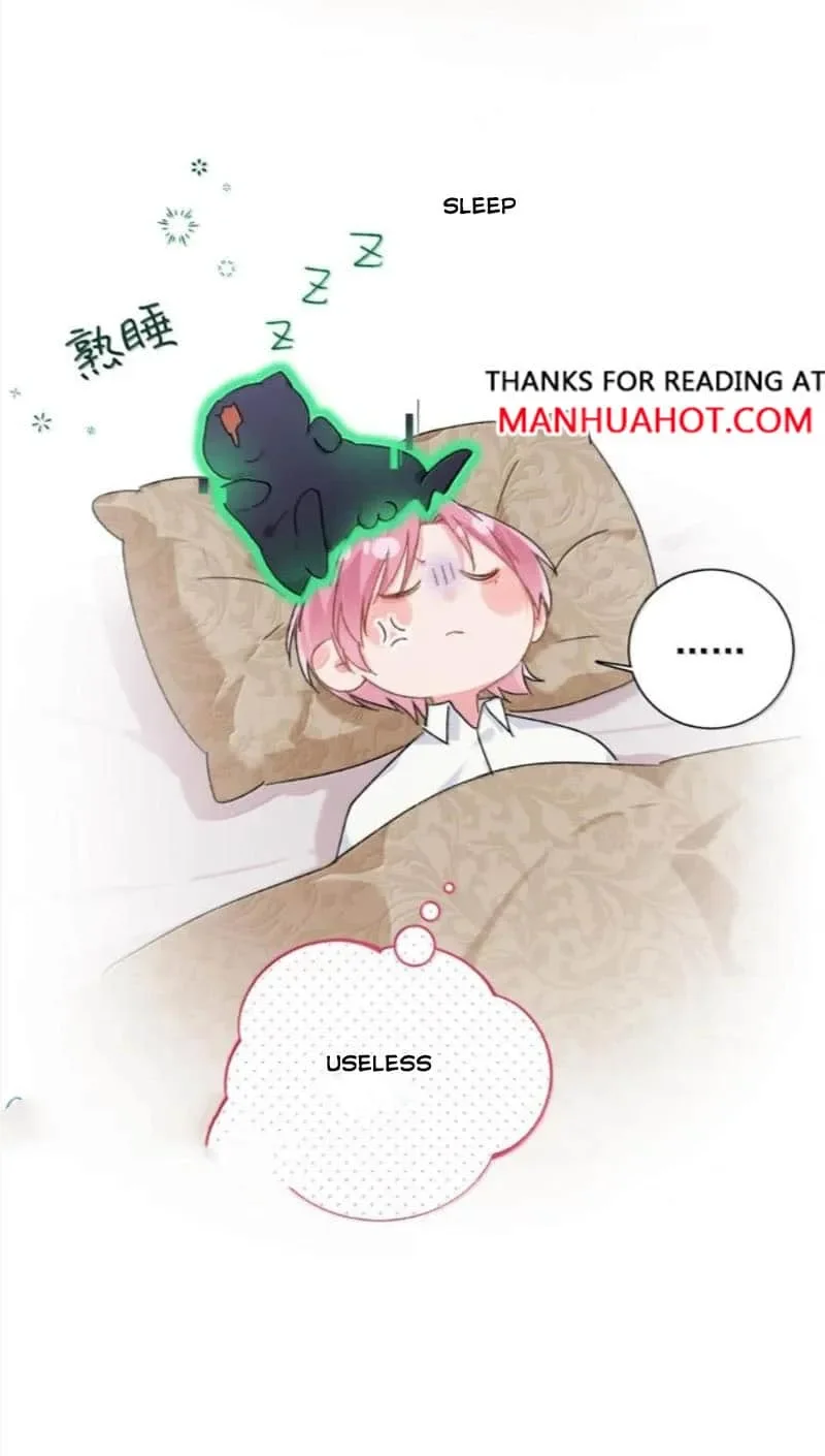 Image page 7