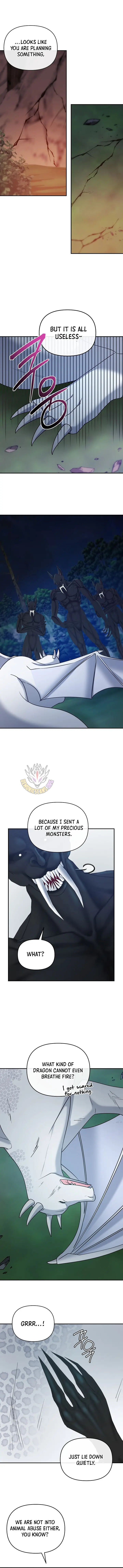 Image page 8