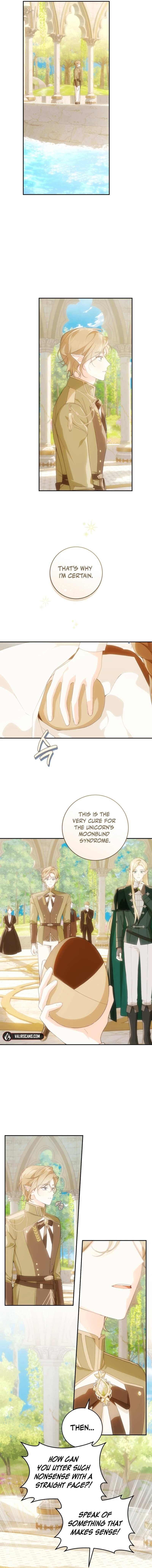 Image page 6