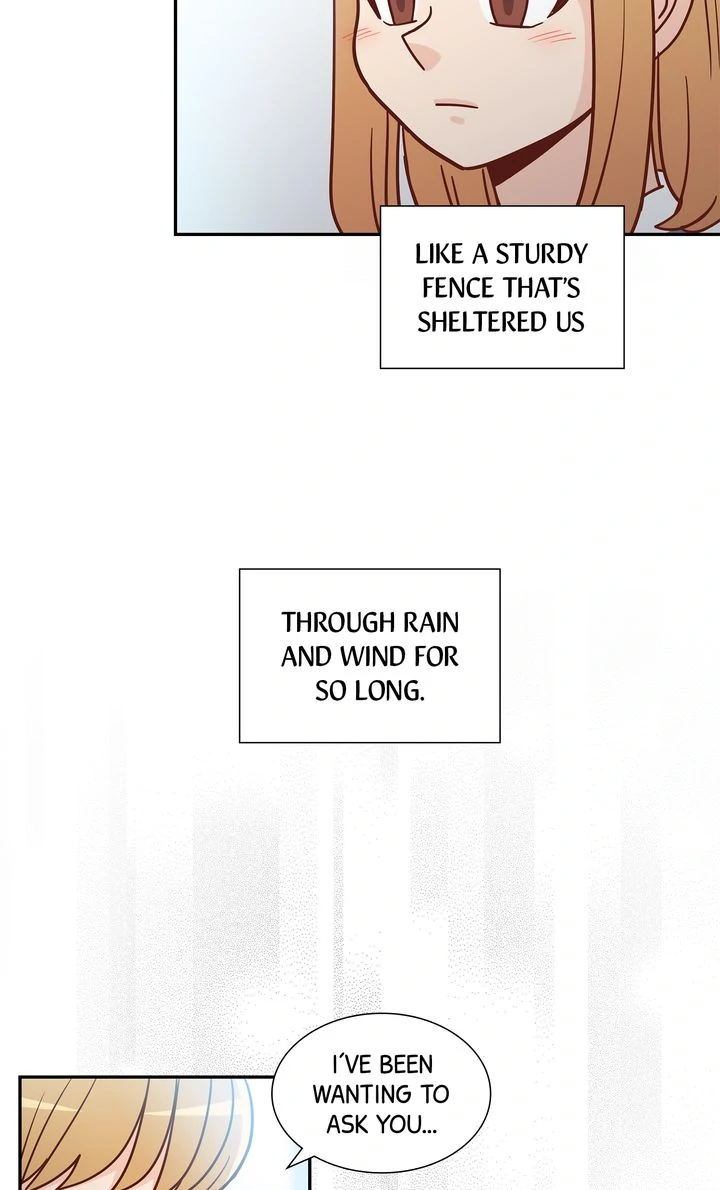 Image page 39