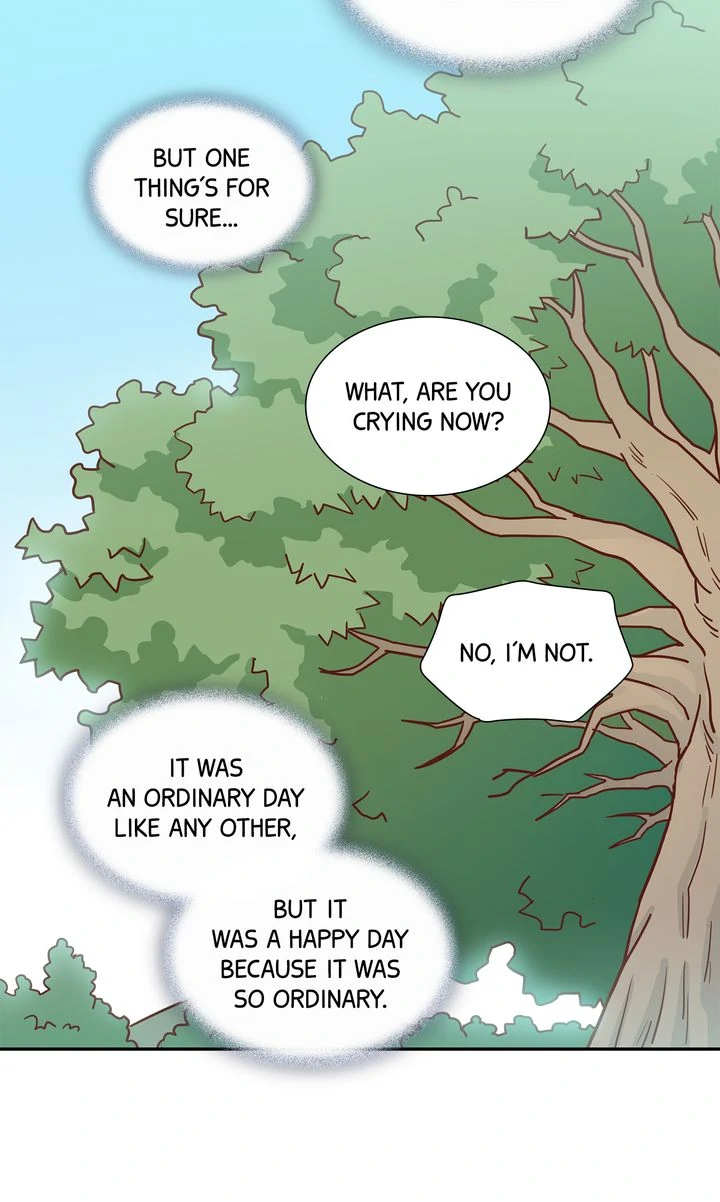 Image page 11