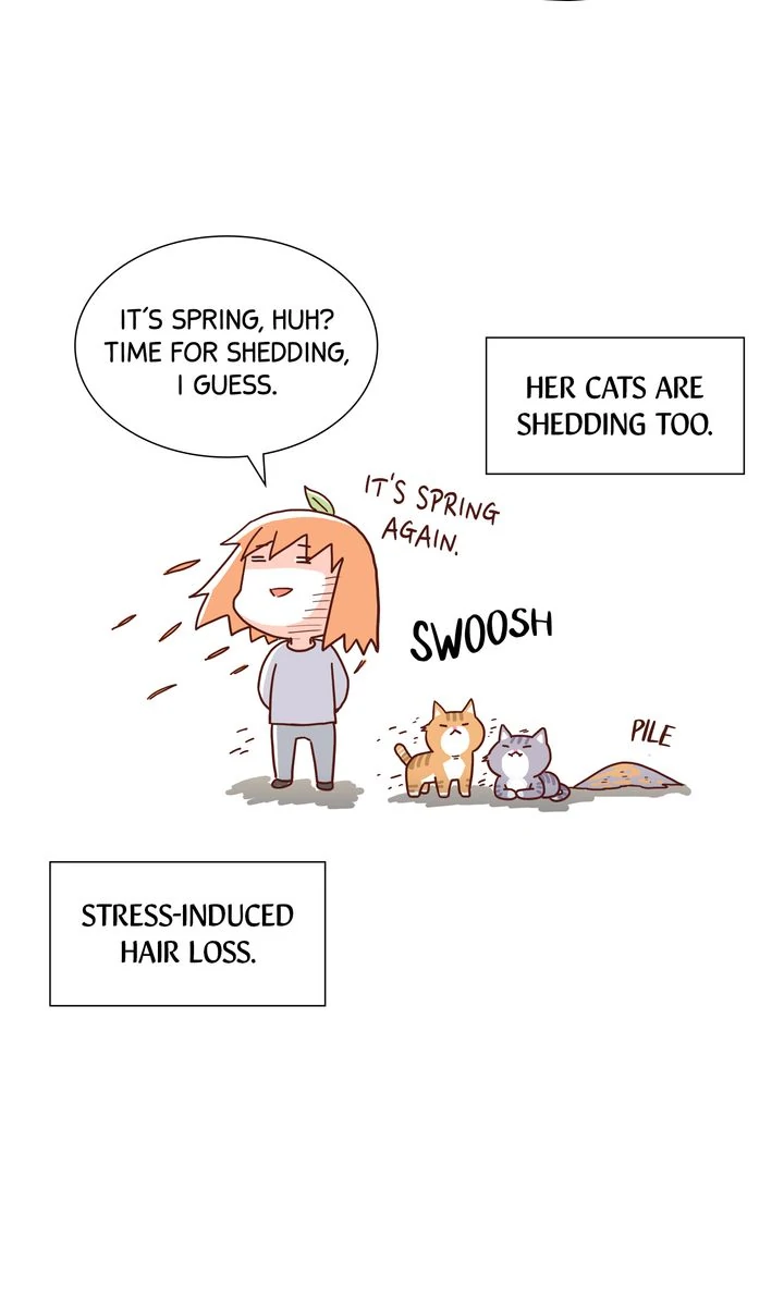 Image page 3