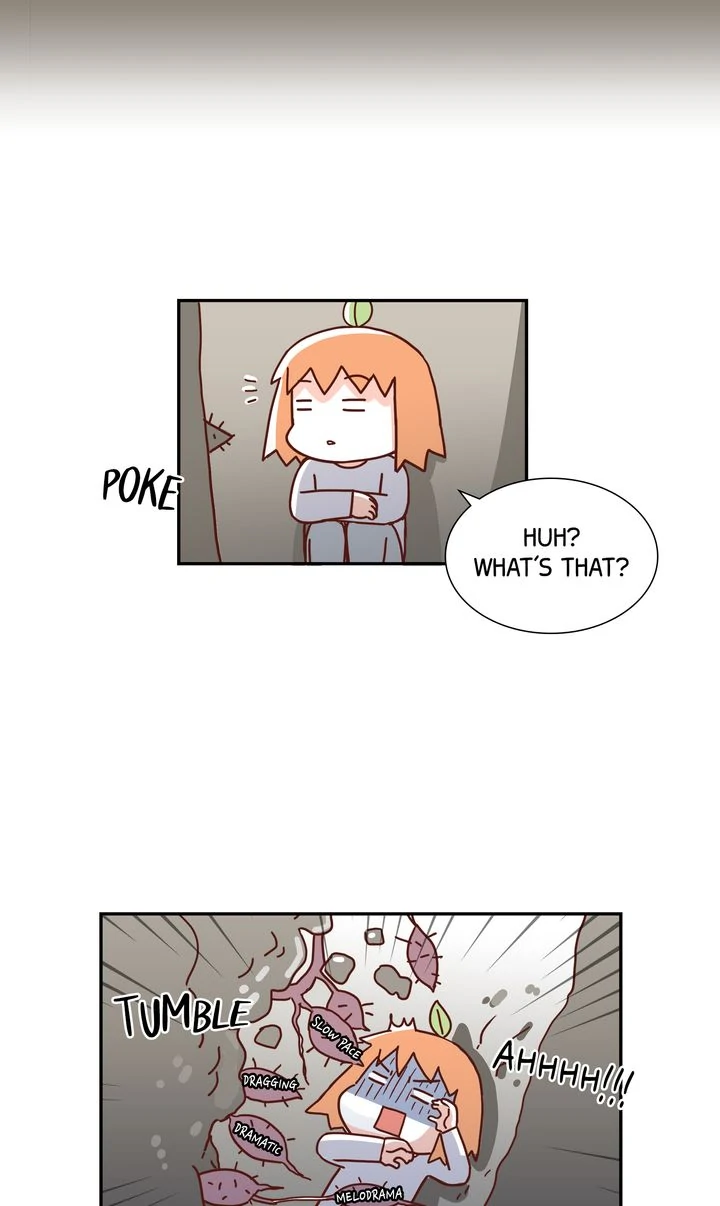 Image page 11