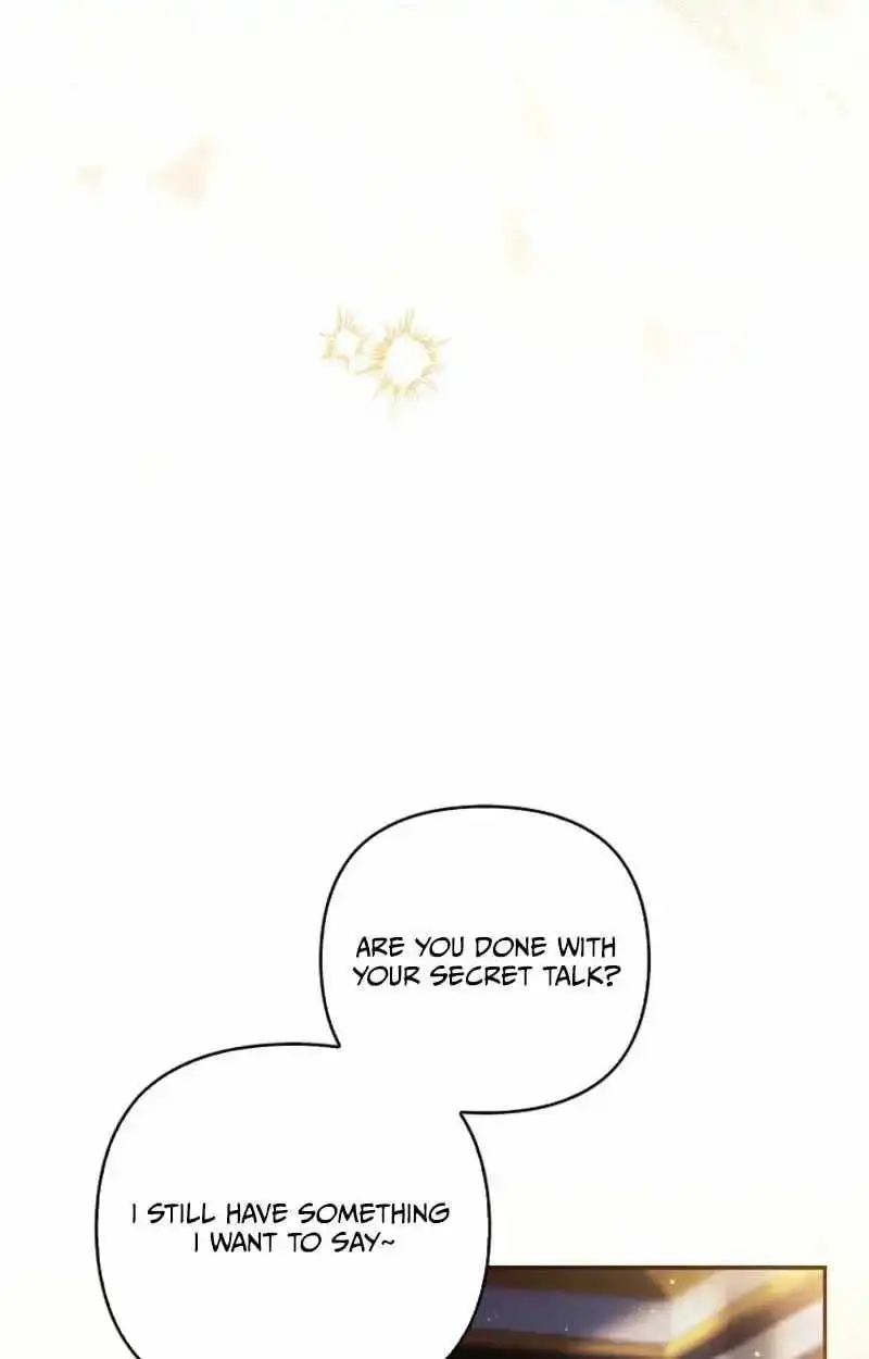 Image page 16