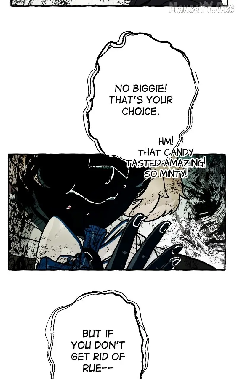 Image page 43