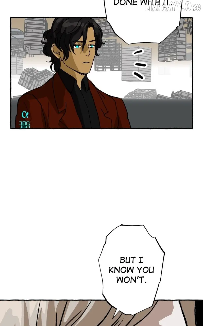 Image page 11