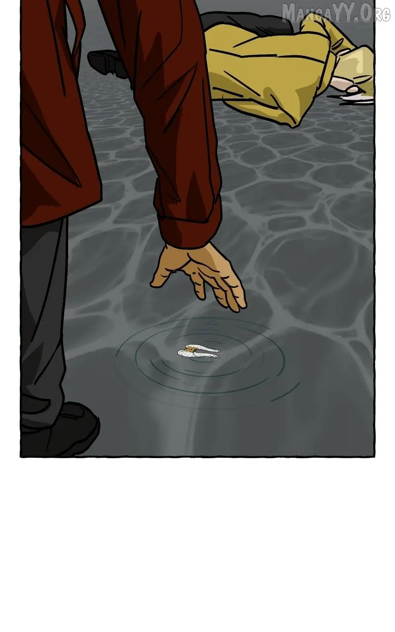 Image page 32
