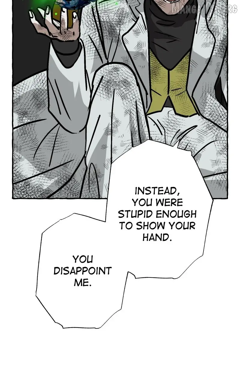 Image page 11