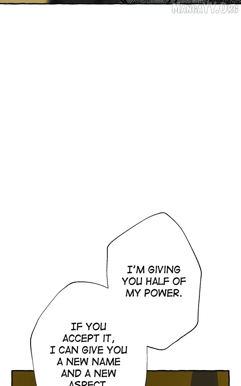 Image page 3