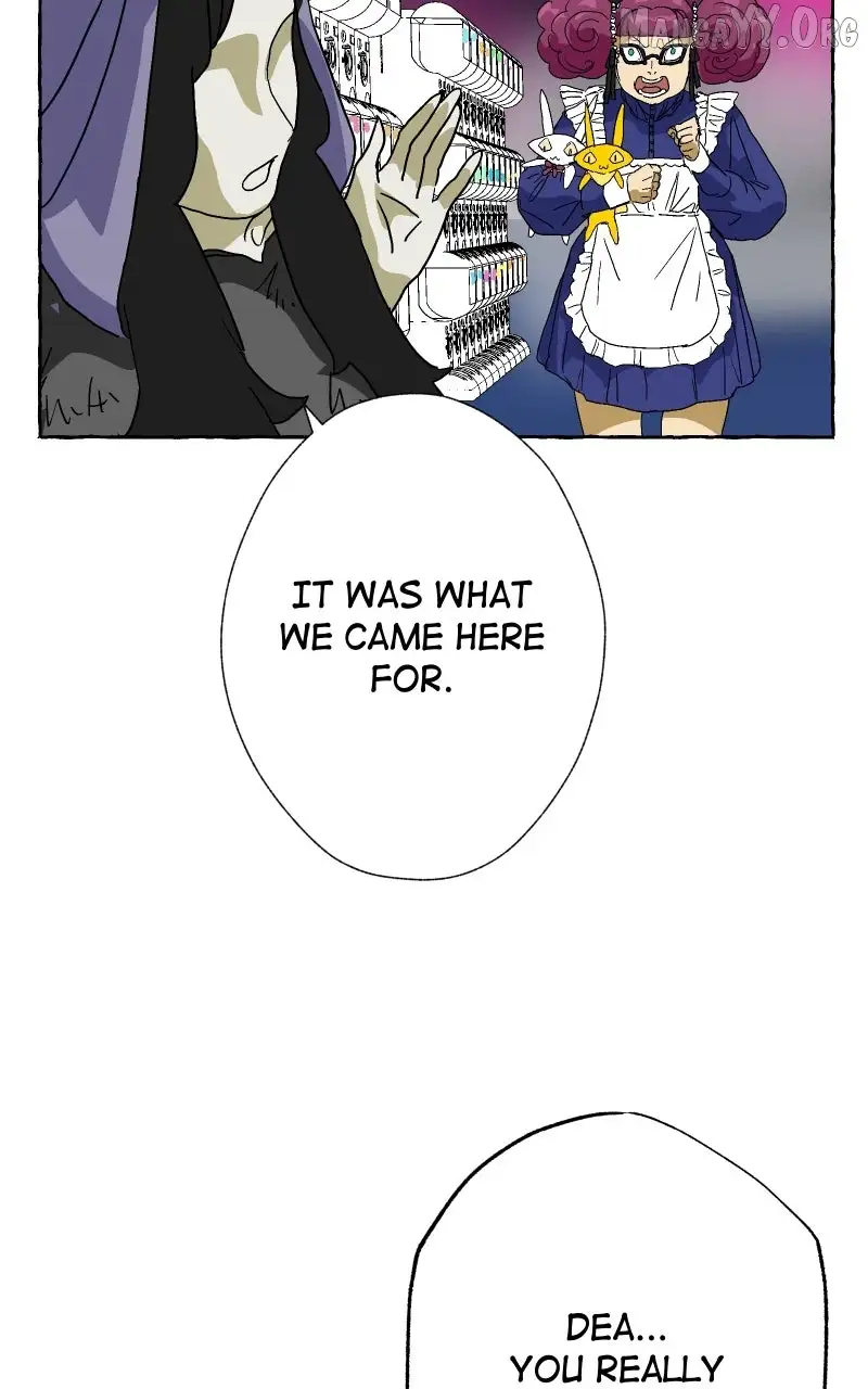 Image page 11