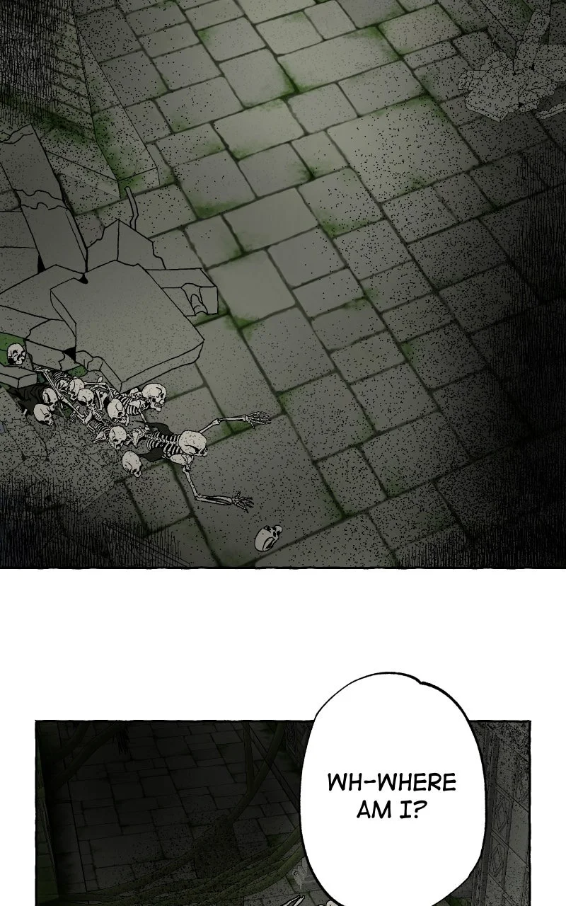 Image page 21