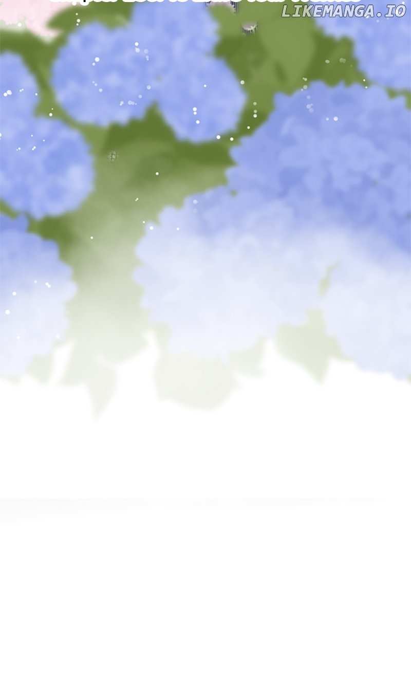 Image page 8