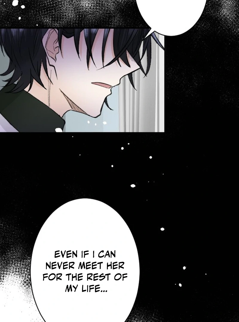 Image page 101